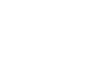 WizBud Paweł Wizert